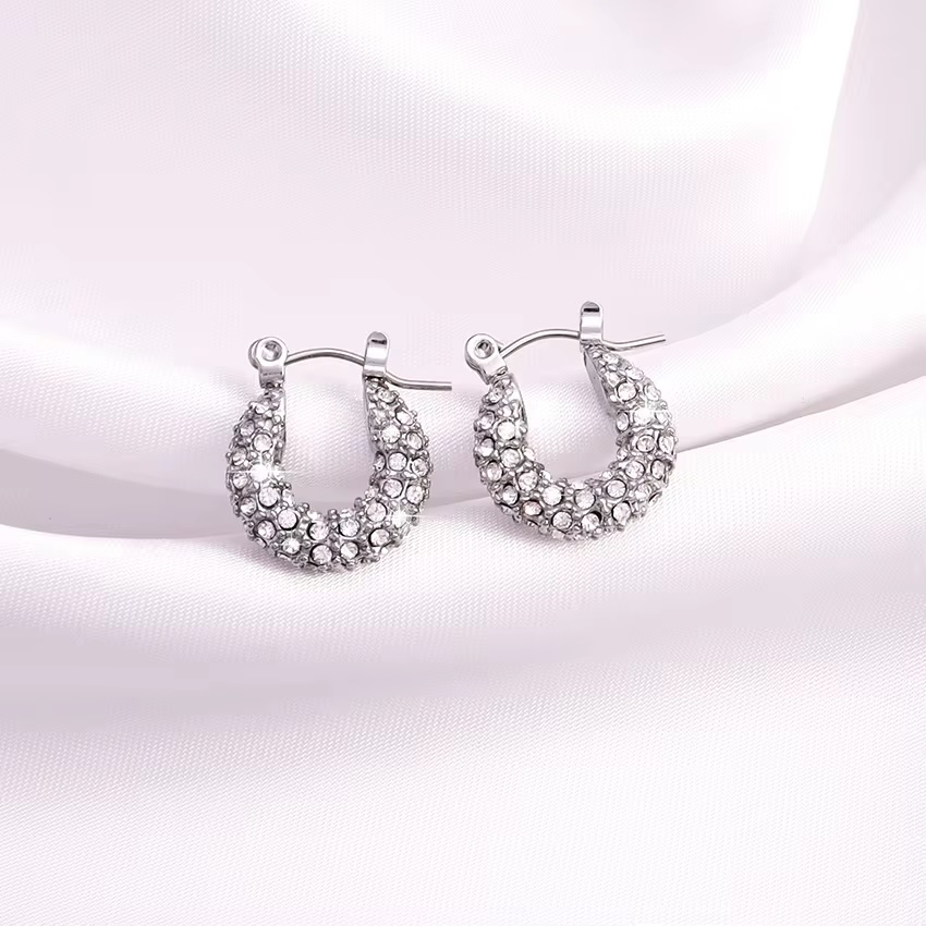 SA-32619 Ohrringe - Silber